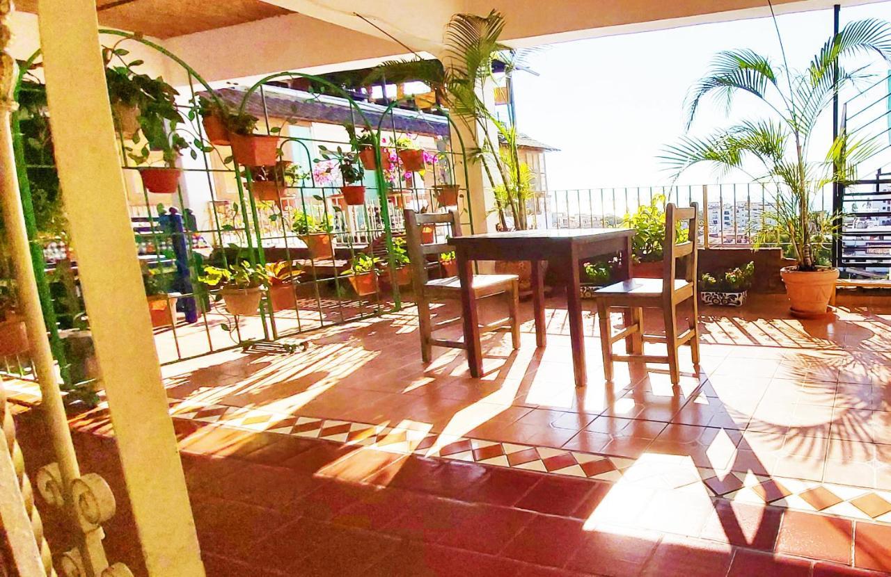 מלון פוארטו ואלארטה Paloma Del Mar (Adults Only) מראה חיצוני תמונה